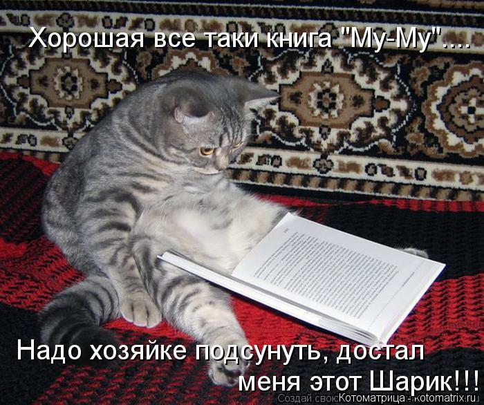 Котоматрица: Хорошая все таки книга "Му-Му"....  Надо хозяйке подсунуть, достал  меня этот Шарик!!!