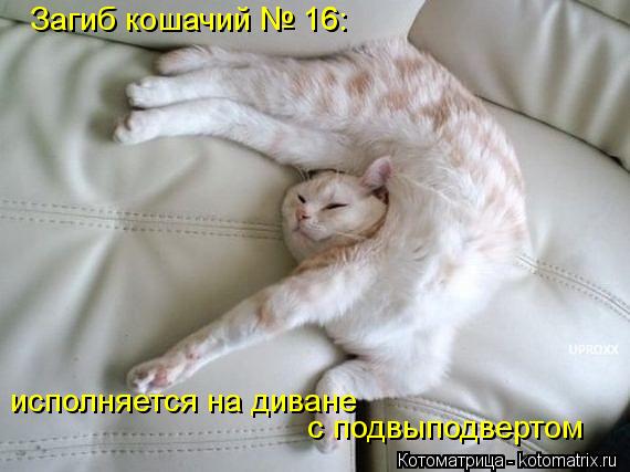 Загиб кошачий № 16: исполняется на диване с подвыподвертом... Котоматрица: Загиб кошачий № 16: исполняется на диване с подвыподвертом