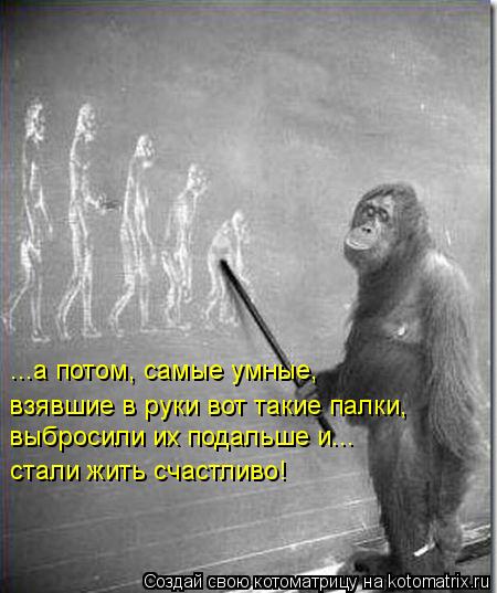 ...а потом, самые умные, взявшие в руки вот такие палки, выбросили их подальше и... стали жить сча... Котоматрица: ...а потом, самые умные, взявшие в руки вот такие палки, выбросили их подальше и... стали жить счастливо!