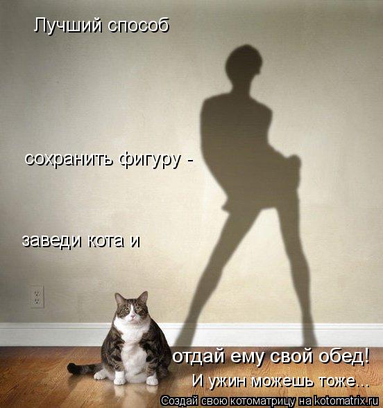 Лучший способ сохранить фигуру - заведи кота и И ужин можешь тоже... отдай ему свой обед!... Котоматрица: Лучший способ сохранить фигуру - заведи кота и И ужин можешь тоже... отдай ему свой обед!