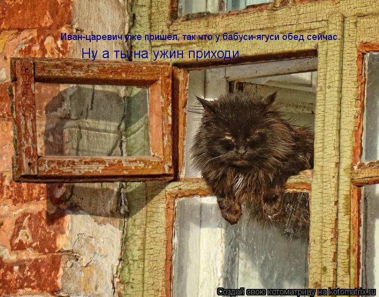 Котоматрица: Иван-царевич уже пришел, так что у бабуси-ягуси обед сейчас. Ну а ты на ужин приходи.