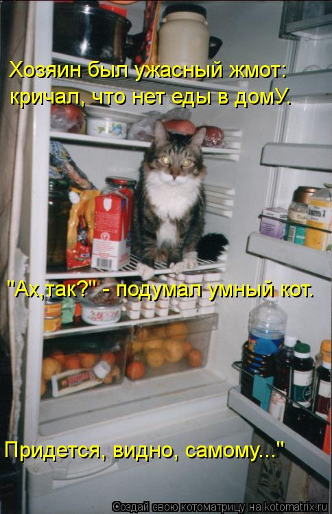 Котоматрица: Хозяин был ужасный жмот: кричал, что нет еды в домУ. "Ах,так?" - подумал умный кот. Придется, видно, самому..."