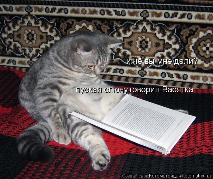 и чё вы мне дали? пуская слюну,говорил Васятка... Котоматрица: и чё вы мне дали? пуская слюну,говорил Васятка