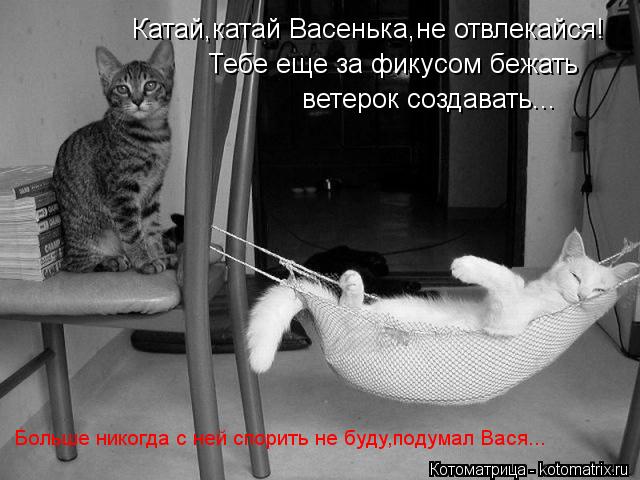 Катай,катай Васенька,не отвлекайся! Тебе еще за фикусом бежать ветерок создавать... Больше никогда с ... Котоматрица: Катай,катай Васенька,не отвлекайся! Тебе еще за фикусом бежать ветерок создавать... Больше никогда с ней спорить не буду,подумал Вася...