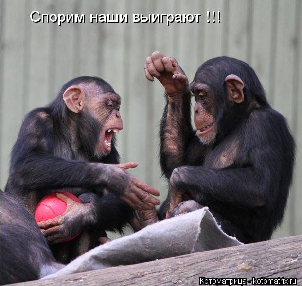 Спорим наши выиграют !!!... Котоматрица: Спорим наши выиграют !!!