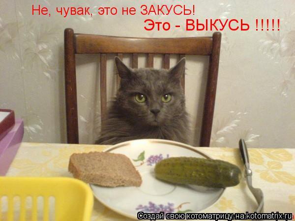 Котоматрица: Не, чувак, это не ЗАКУСЬ! Это - ВЫКУСЬ !!!!!