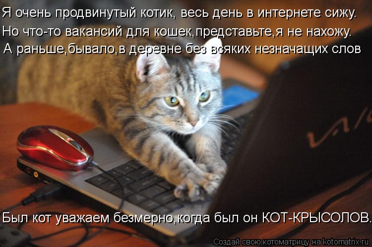 Котоматрица: Я очень продвинутый котик, весь день в интернете сижу. Но что-то вакансий для кошек,представьте,я не нахожу. А раньше,бывало,в деревне без вс