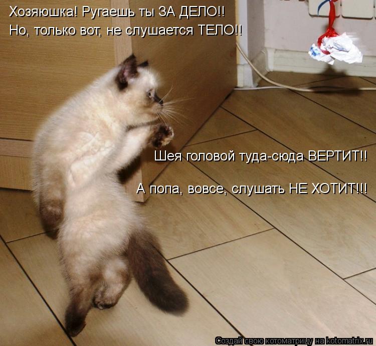 Котоматрица: Хозяюшка! Ругаешь ты ЗА ДЕЛО!! Но, только вот, не слушается ТЕЛО!! Шея головой туда-сюда ВЕРТИТ!! А попа, вовсе, слушать НЕ ХОТИТ!!!