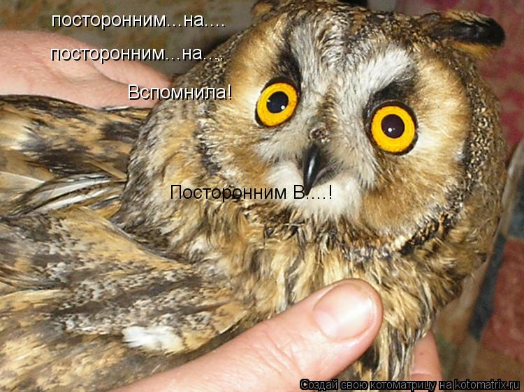 посторонним...на.... посторонним...на.... Вспомнила! Посторонним В....!... Котоматрица: посторонним...на.... посторонним...на.... Вспомнила! Посторонним В....!