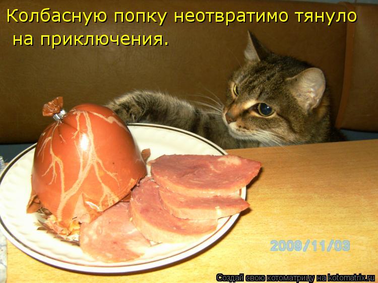 Колбасную попку неотвратимо тянуло на приключения.... Котоматрица: Колбасную попку неотвратимо тянуло на приключения.
