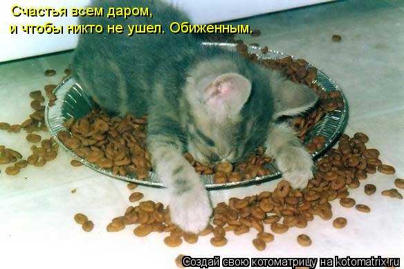 Котоматрица: Счастья всем даром, и чтобы никто не ушел. Обиженным.