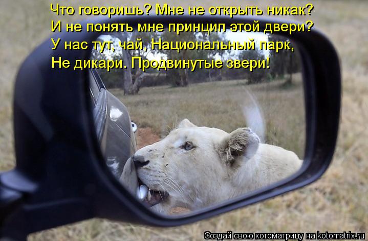 Что говоришь? Мне не открыть никак? И не понять мне принцип этой двери? У нас тут, чай, Национальный ... Котоматрица: Что говоришь? Мне не открыть никак? И не понять мне принцип этой двери? У нас тут, чай, Национальный парк, Не дикари. Продвинутые звери!