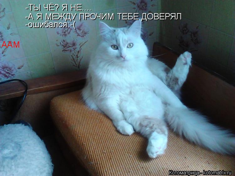 -ТЫ ЧЁ? Я НЕ.... ААМ -А Я МЕЖДУ ПРОЧИМ ТЕБЕ ДОВЕРЯЛ -ошибался:-(... Котоматрица: -ТЫ ЧЁ? Я НЕ.... ААМ -А Я МЕЖДУ ПРОЧИМ ТЕБЕ ДОВЕРЯЛ -ошибался:-(