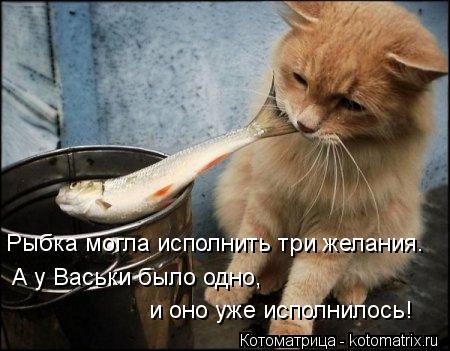 Котоматрица: Рыбка могла исполнить три желания. А у Васьки было одно, и оно уже исполнилось!