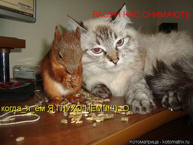 ВАСЯН НАС СНИМАЮТ)) когда_я_ем Я ГЛУХО-НЕМ!!!!!):-О... Котоматрица: ВАСЯН НАС СНИМАЮТ)) когда_я_ем Я ГЛУХО-НЕМ!!!!!):-О