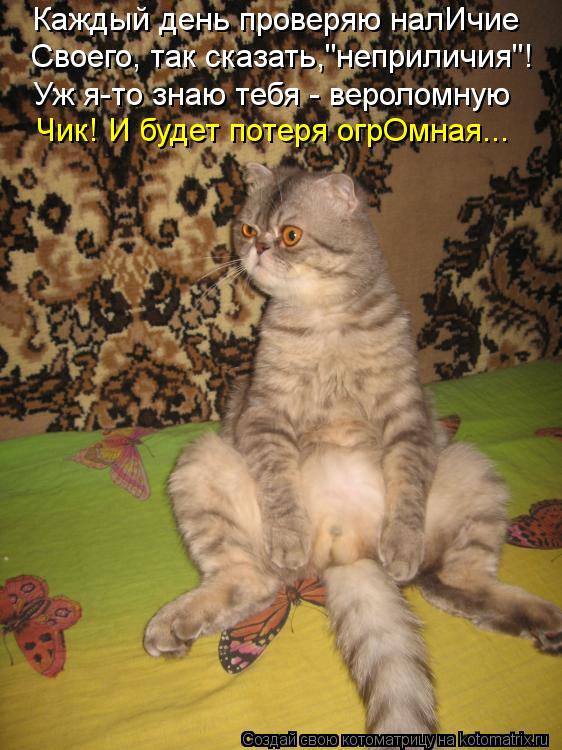 Каждый день проверяю налИчие Своего, так сказать,"неприличия"! Уж я-то знаю тебя - вероломную Чик! И ... Котоматрица: Каждый день проверяю налИчие Своего, так сказать,"неприличия"! Уж я-то знаю тебя - вероломную Чик! И будет потеря огрОмная...