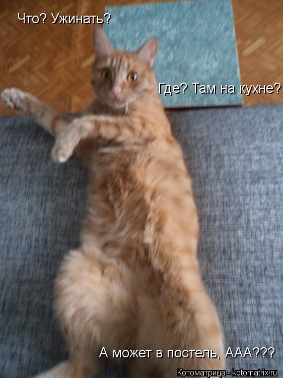 Что? Ужинать? Где? Там на кухне? А может в постель, ААА???... Котоматрица: Что? Ужинать? Где? Там на кухне? А может в постель, ААА???