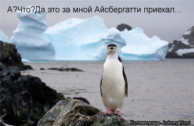 А?Что?Да,это за мной Айсбергатти приехал...... Котоматрица: А?Что?Да,это за мной Айсбергатти приехал...