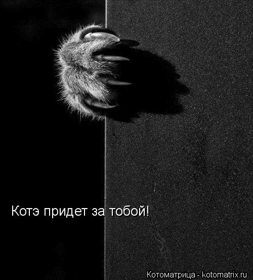 Котоматрица: Котэ придет за тобой!