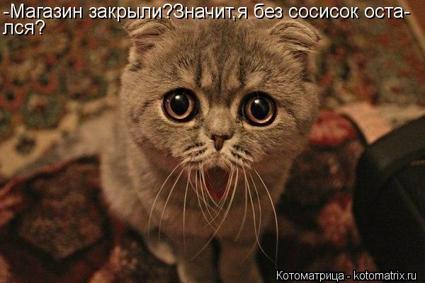 Котоматрица: -Магазин закрыли?Значит,я без сосисок оста- лся?