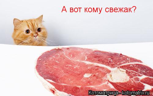 Котоматрица: А вот кому свежак?