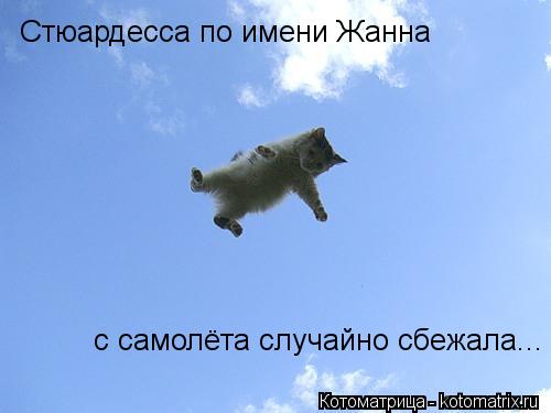 Стюардесса по имени Жанна с самолёта случайно сбежала...... Котоматрица: Стюардесса по имени Жанна с самолёта случайно сбежала...