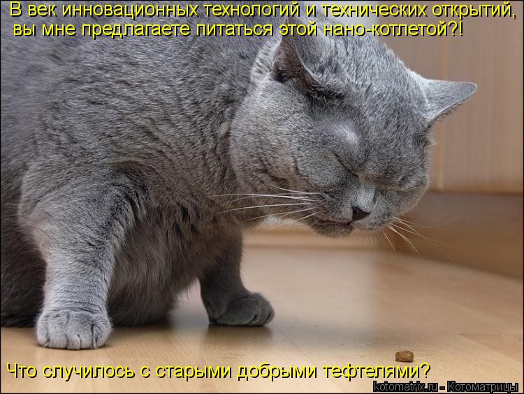 Котоматрица: В век инновационных технологий и технических открытий, вы мне предлагаете питаться этой нано-котлетой?! Что случилось с старыми добрыми те