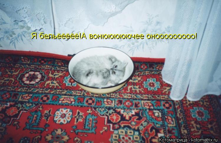 Котоматрица: Я бельёёёёё!А вонююююючее онооооооооо!