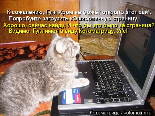Котоматрица: К сожалению, Гугл Хром не может открыть этот сайт. Попробуйте загрузить кОшированную страницу... Хорошо, сейчас найду. И что бы это было за ст