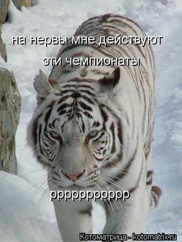 на нервы мне действуют эти чемпионаты ррррррррррр... Котоматрица: на нервы мне действуют эти чемпионаты ррррррррррр