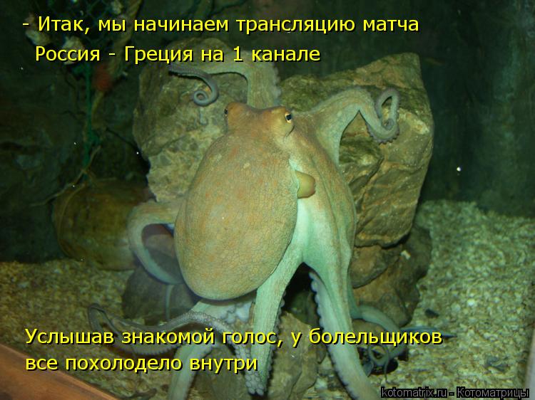 - Итак, мы начинаем трансляцию матча Россия - Греция на 1 канале Услышав знакомой голос, у болельщик... Котоматрица: - Итак, мы начинаем трансляцию матча Россия - Греция на 1 канале Услышав знакомой голос, у болельщиков все похолодело внутри