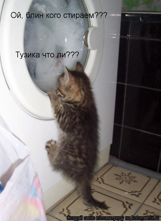 Котоматрица: Ой, блин кого стираем??? Тузика что ли???