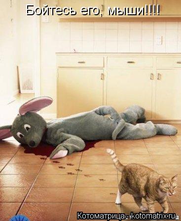 Котоматрица: Бойтесь его, мыши!!!!