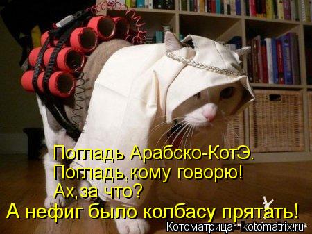 Погладь Арабско-КотЭ. Погладь,кому говорю! Ах,за что? А нефиг было колбасу прятать!... Котоматрица: Погладь Арабско-КотЭ. Погладь,кому говорю! Ах,за что? А нефиг было колбасу прятать!
