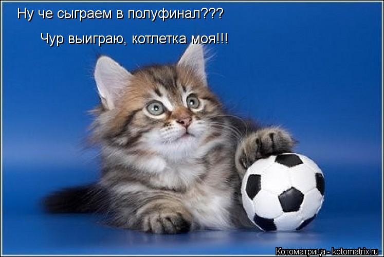 Котоматрица: Ну че сыграем в полуфинал??? Чур выиграю, котлетка моя!!!