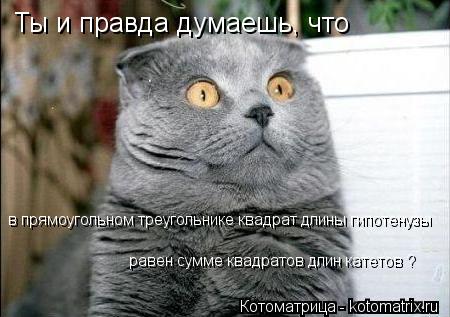 Котоматрица: равен сумме квадратов длин катетов ? Ты и правда думаешь, что в прямоугольном треугольнике квадрат длины гипотенузы