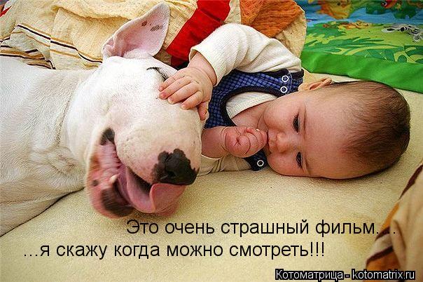 Котоматрица: ...я скажу когда можно смотреть!!! Это очень страшный фильм....