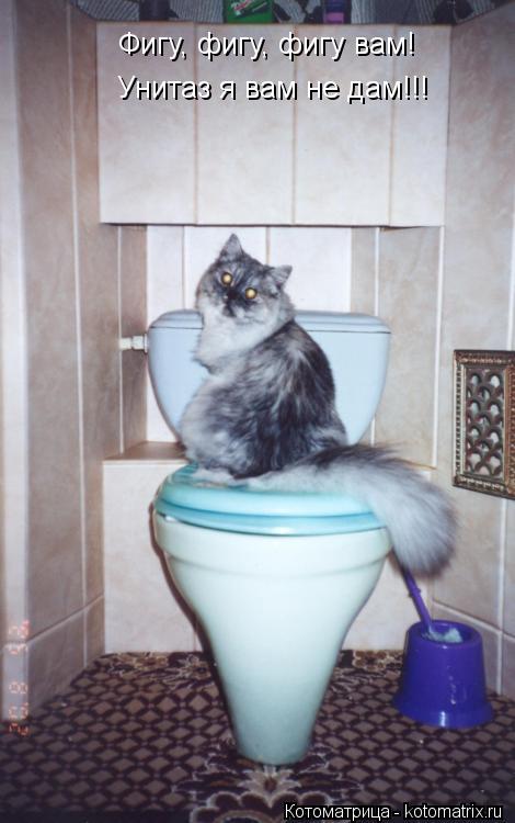 Котоматрица: Фигу, фигу, фигу вам! Унитаз я вам не дам!!!