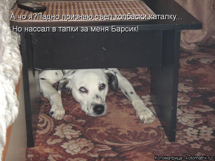 А чо я?Ладно признаю,съел колбаски каталку... Но нассал в тапки за меня Барсик!... Котоматрица: А чо я?Ладно признаю,съел колбаски каталку... Но нассал в тапки за меня Барсик!