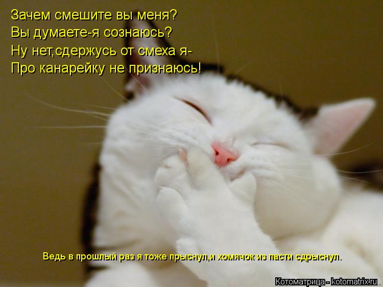 Зачем смешите вы меня? Вы думаете-я сознаюсь? Ну нет,сдержусь от смеха я- Про канарейку не признаюсь!... Котоматрица: Зачем смешите вы меня? Вы думаете-я сознаюсь? Ну нет,сдержусь от смеха я- Про канарейку не признаюсь! Ведь в прошлый раз я тоже прыснул,и хомя