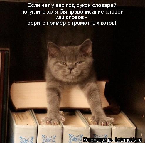 Если нет у вас под рукой словарей, погуглите хотя бы правописание словей или словов - берите пример с... Котоматрица: Если нет у вас под рукой словарей, погуглите хотя бы правописание словей или словов - берите пример с грамотных котов!