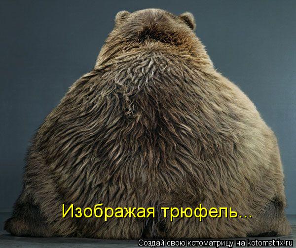 Котоматрица: Изображая трюфель...