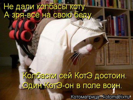 Котоматрица: Не дали колбасы коту. А зря-всё на свою беду. Колбаски сей КотЭ достоин. Один КотЭ-он в поле воин.