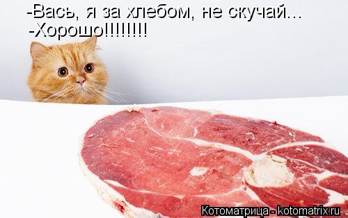 Котоматрица: -Вась, я за хлебом, не скучай... -Хорошо!!!!!!!!