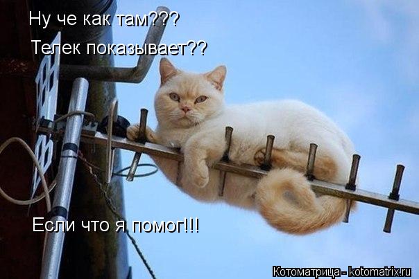 Котоматрица: Ну че как там???  Телек показывает?? Если что я помог!!!
