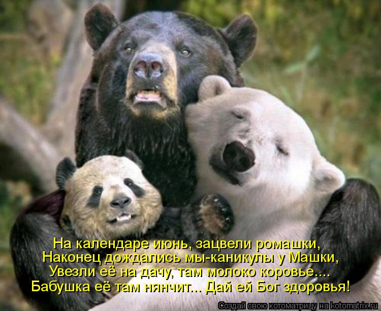 На календаре июнь, зацвели ромашки, Наконец дождались мы-каникулы у Машки, Увезли её на дачу, там мол... Котоматрица: На календаре июнь, зацвели ромашки, Наконец дождались мы-каникулы у Машки, Увезли её на дачу, там молоко коровье.... Бабушка её там нянчит... Да