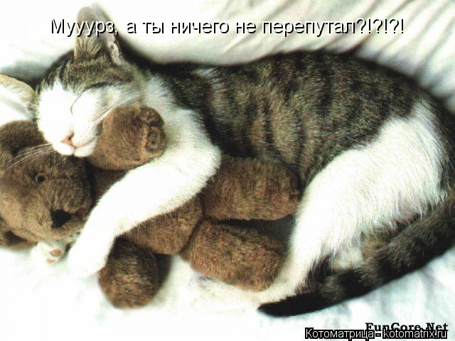 Котоматрица: Мууурз, а ты ничего не перепутал?!?!?!