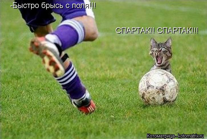 Котоматрица: -Быстро брысь с поля!!! СПАРТАК!! СПАРТАК!!!