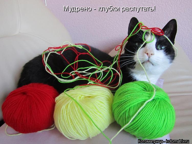 Котоматрица: Мудрено - клубки распутать!