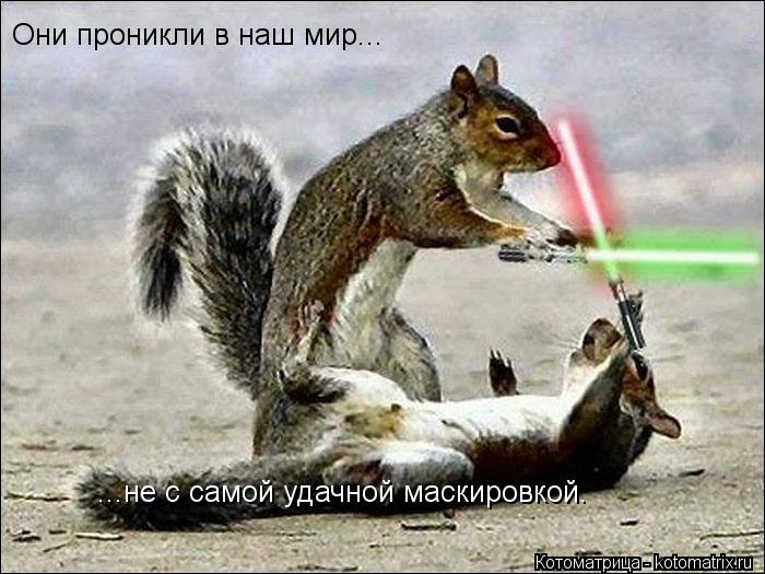 Они проникли в наш мир... ...не с самой удачной маскировкой.... Котоматрица: Они проникли в наш мир... ...не с самой удачной маскировкой.